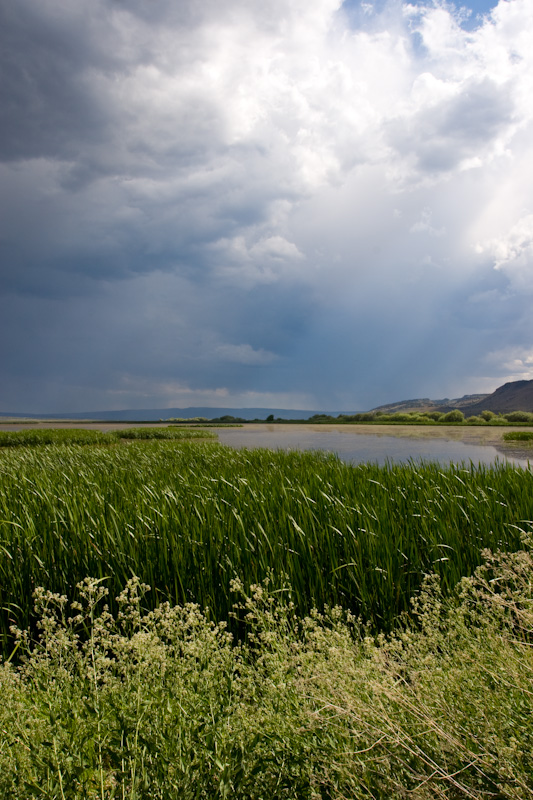 Storm Cloud Over Pond